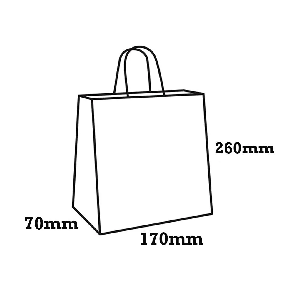 Retail Takeaway Kraft Twisted Handle Paper Bag - Baby Small
